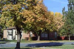 Primary Photo - Bramblewood