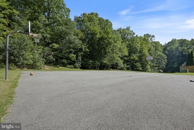 Building Photo - 7406 Golden Horseshoe Ct
