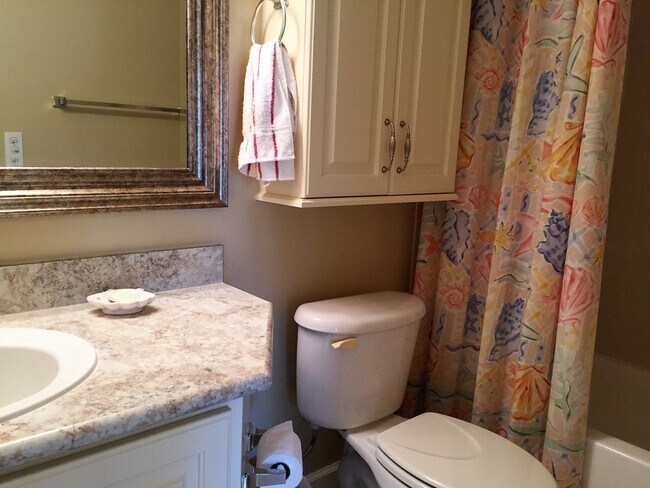 Building Photo - Fully Furnished, Turnkey 1BR/1BA Riverfron...