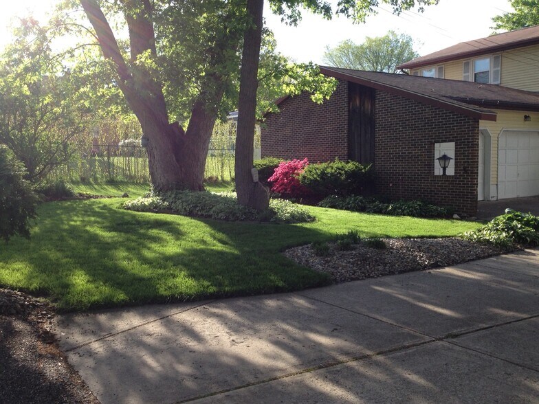 Street view front yardt - 917 Lattavo St NE