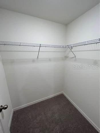 Building Photo - 351 Towns Cir