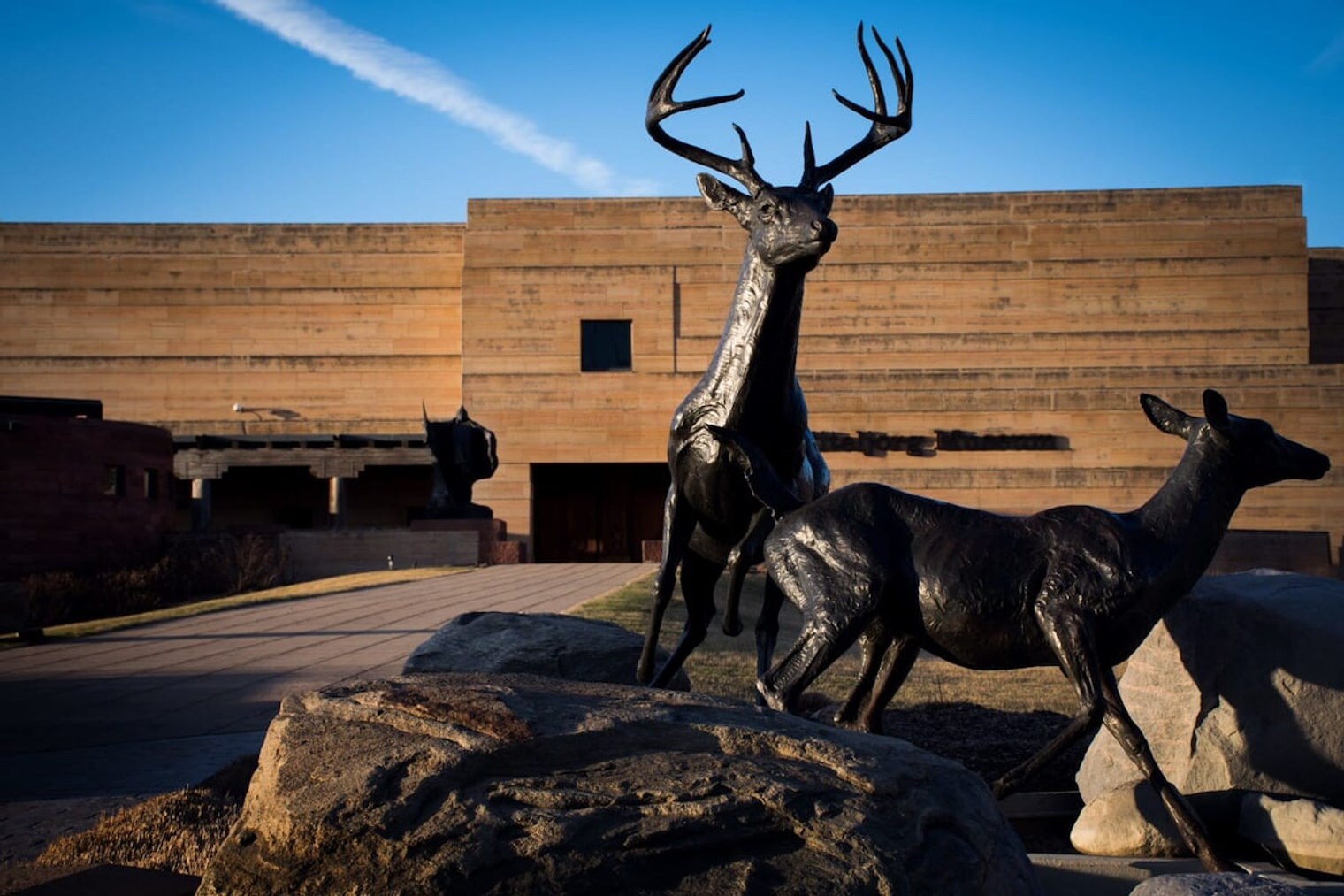 Building Photo - 50 N Illinois St