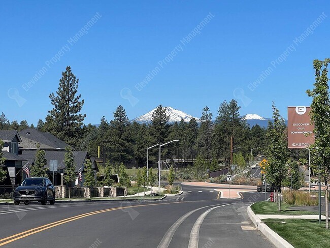 Building Photo - Brand NEW Pahlisch 3 BR - 2.5 BA Home in S...