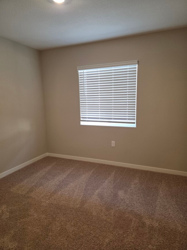 Building Photo - 2954 Pulp Ml Ln