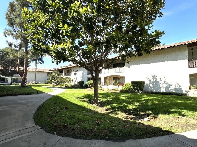Building Photo - Mission Valley 3 BR 2 BA Condo w/ Parking ...