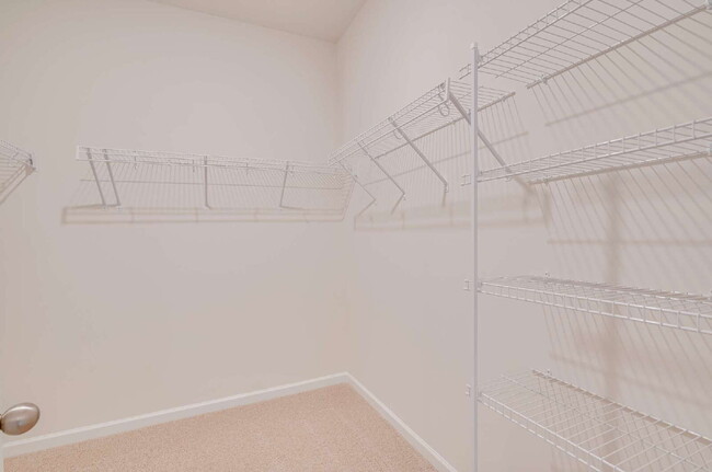 Building Photo - One Story 4-Bed Home in Fuquay-Varina