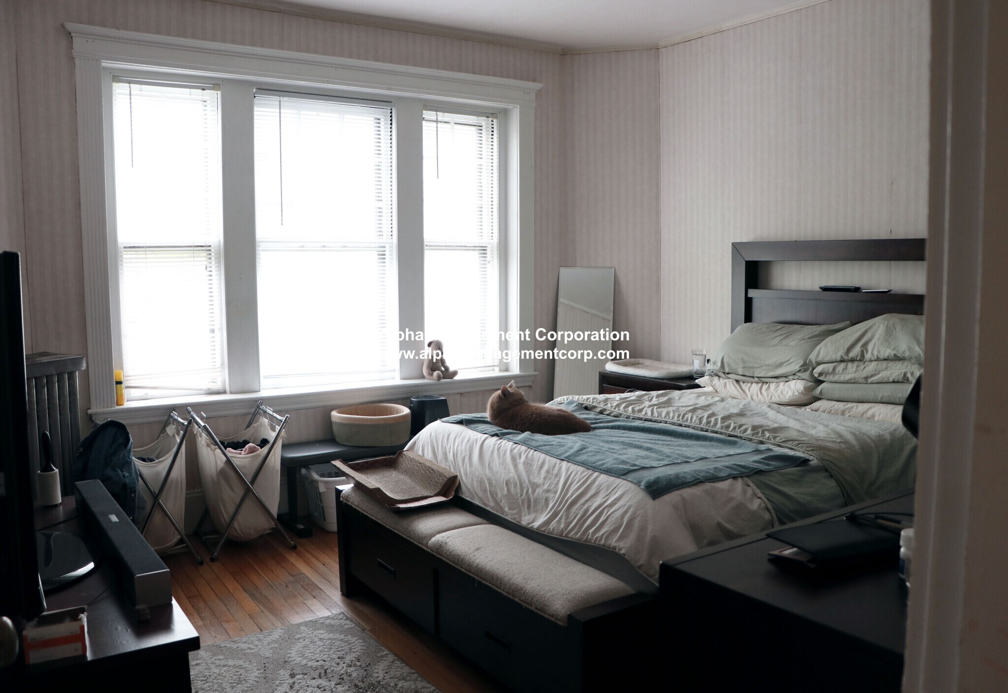 Building Photo - 73 Longwood Ave