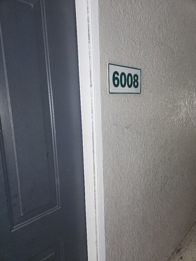 Primary Photo - 6008