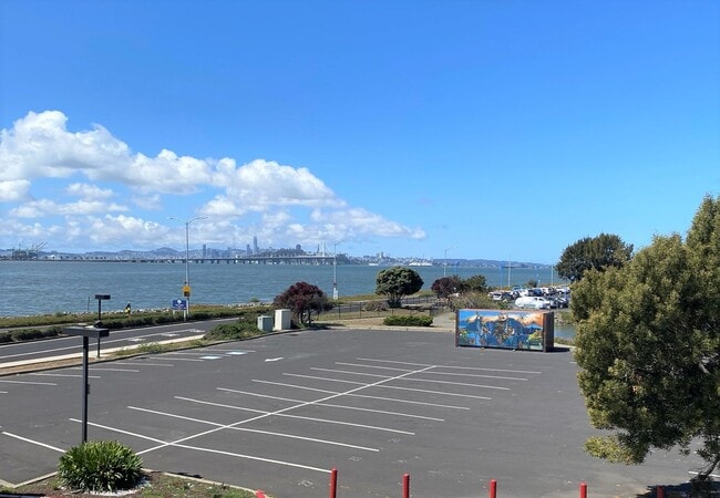 Building Photo - Studio Condo Available Now