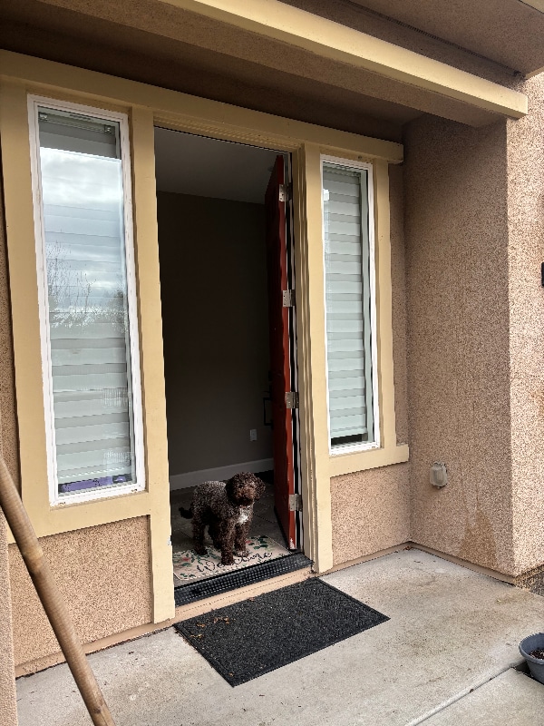 Building Photo - 1580 Bleecker St