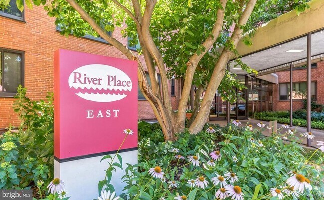 Building Photo - 1021 Arlington Blvd