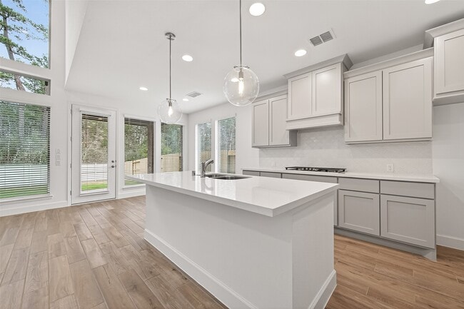 Building Photo - 447 Audubons Shearwater Wy