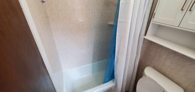 Shower - 226 New Britain Rd