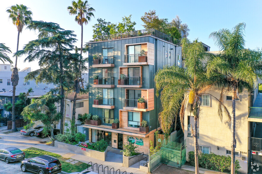 Primary - Treehouse Hollywood