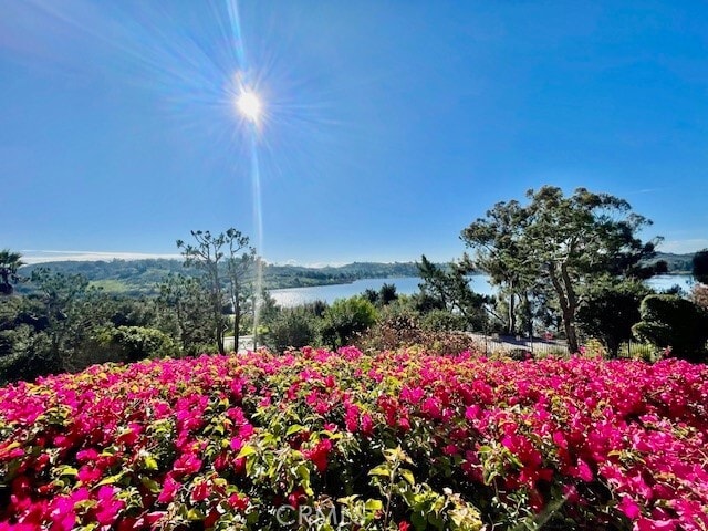 Building Photo - 401 Puddingstone Dr