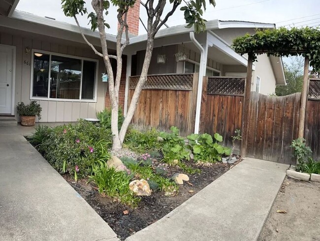 Building Photo - $3,395, 2/1 Santa Clara Duplex 1 Mile from...