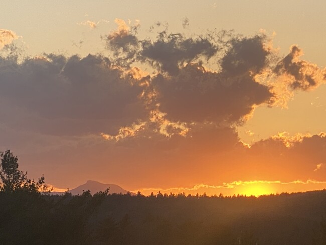 Sunset view from Back Yard - 80 College St