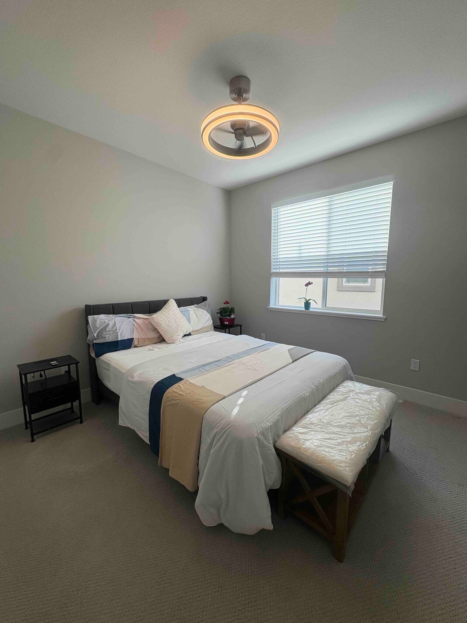 Building Photo - 2850 Lumin Ct