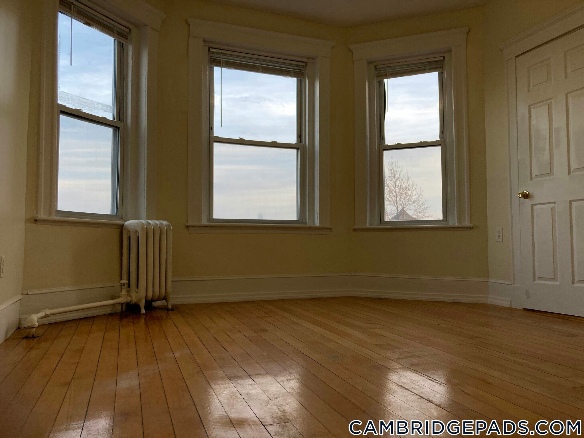 Building Photo - 279 Harvard St