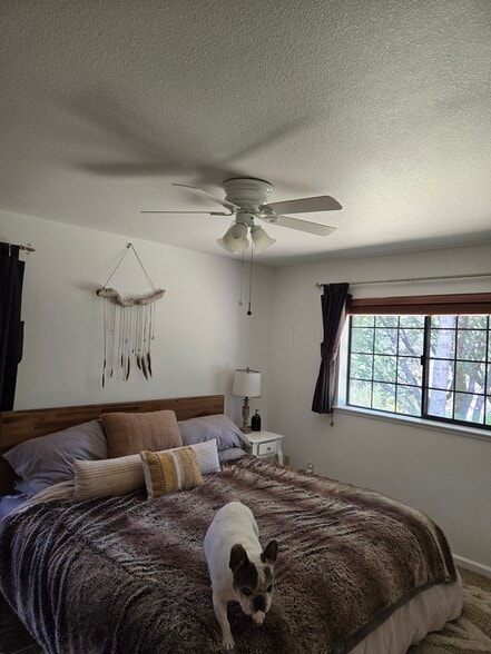 Master bedroom - 4521 Wild Lilac Ln