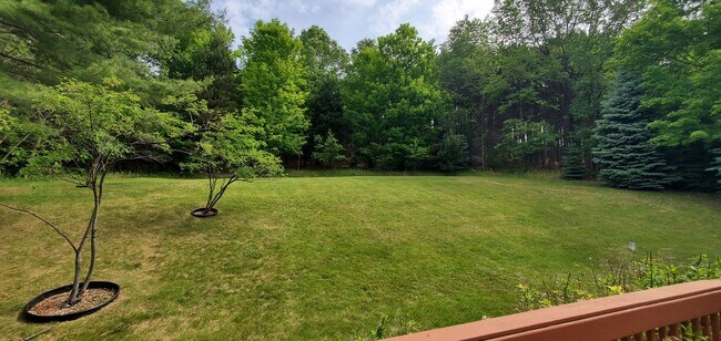Building Photo - Spacious 5 Bedroom Executive Level Home