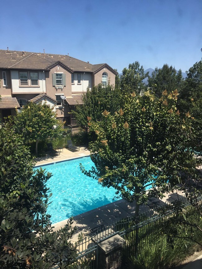 Swimming Pool - 45 Tulare Dr