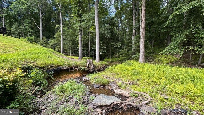 Building Photo - 10899 Woodland Falls Dr