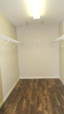 Building Photo - 309 Spurlock Dr