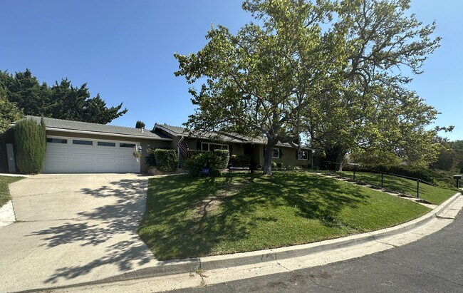 Building Photo - 494 Scandia Dr