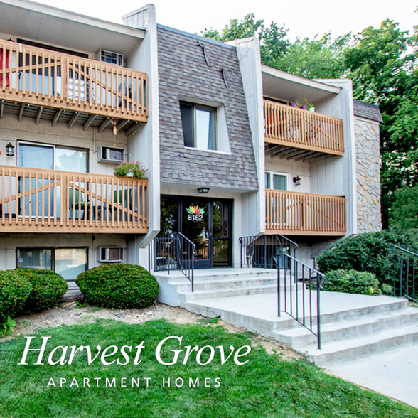 Primary Photo - Harvest Grove Apartment Homes