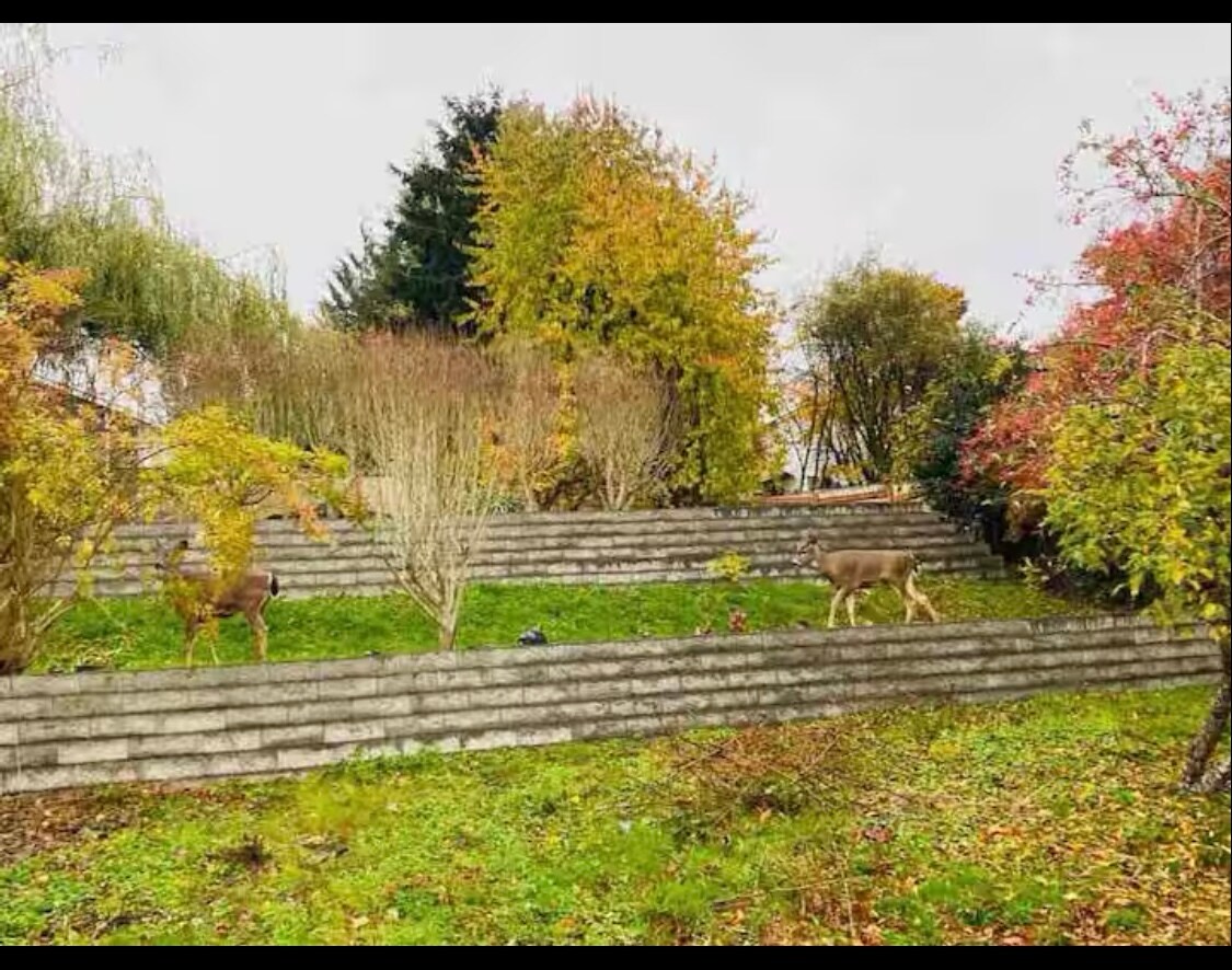 Building Photo - 6904 54th Pl NE