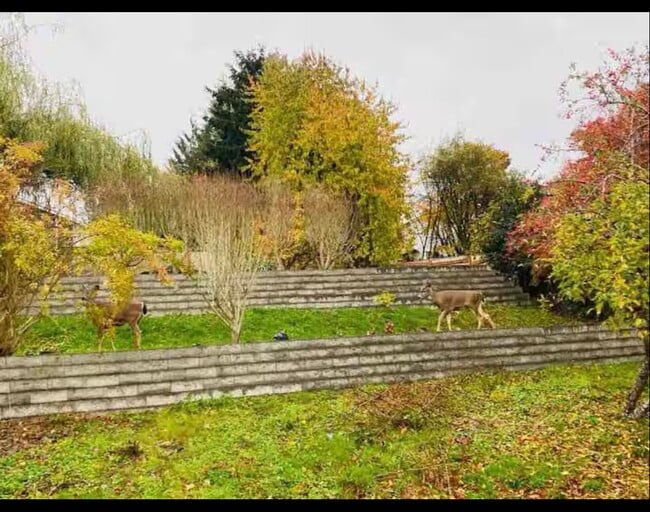 Building Photo - 6904 54th Pl NE