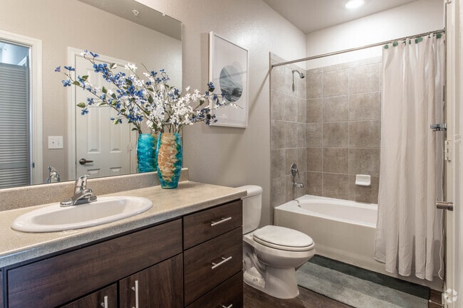 1 BR, 1 BA - 719 SF - A1 - Park45