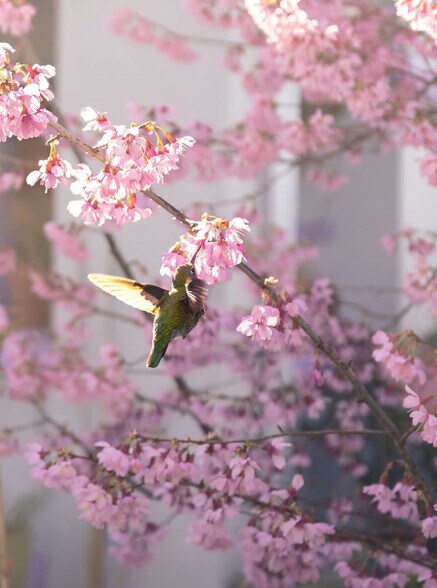 Building Photo - 3148 College Ave