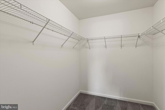 Building Photo - 5559 Trafalgar Cir