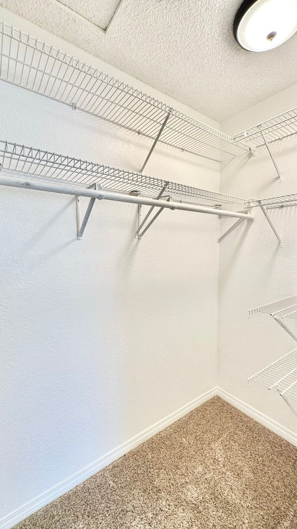 Building Photo - Wonderful Single Story Ranch Style Home on Sprawling Country Property in Vista!