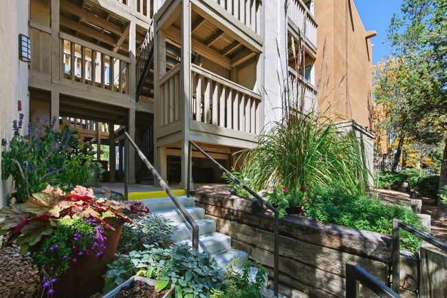 Building Photo - Bright One-Bedroom Retreat at The Reserve