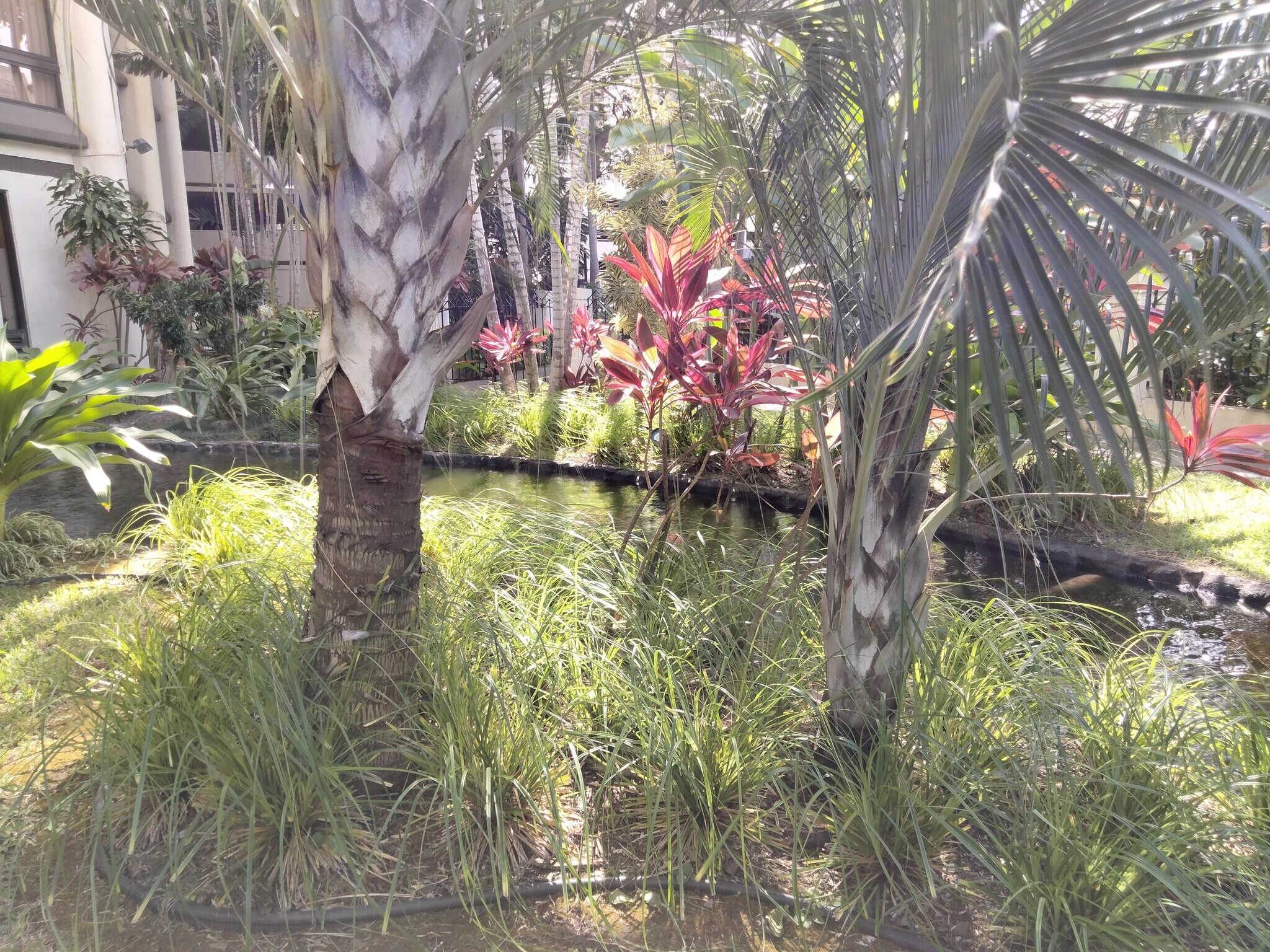 Gardens 2 - 300 Wai Nani Way