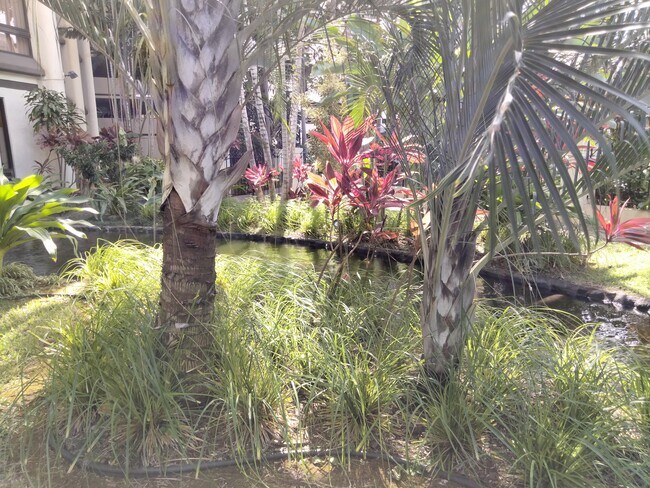 Gardens 2 - 300 Wai Nani Way