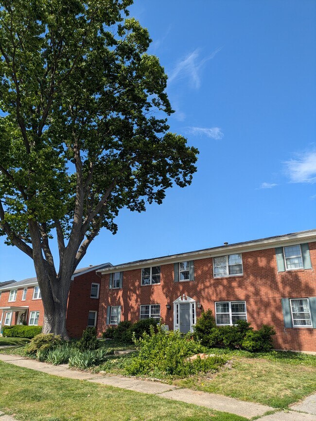 Building Photo - 2909 Abigail Dr