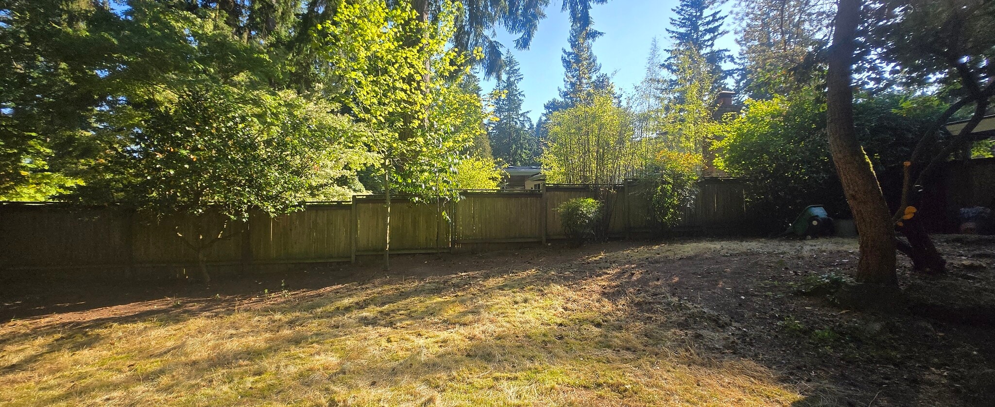 backyard - 2020 151st Ave SE