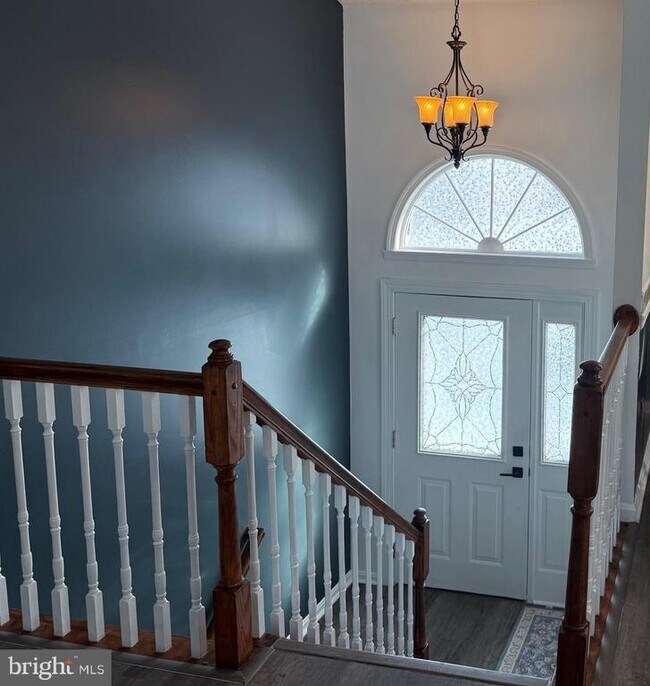 Building Photo - 1515 Baby Baer Ct