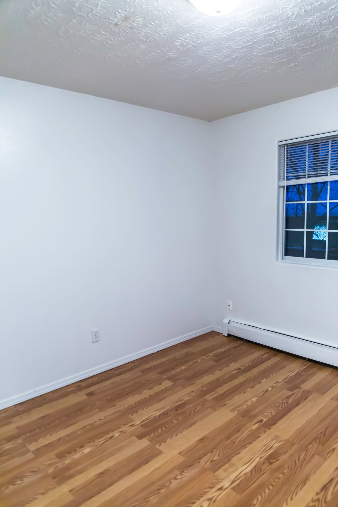 Building Photo - 1805 Dare Ave