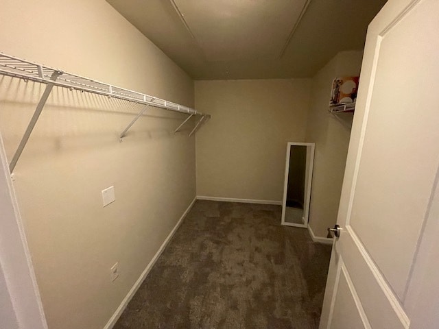 Master Walk in closet - 1489 Steele St