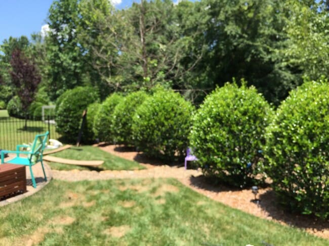 Building Photo - 14328 Laurel Tree Ln