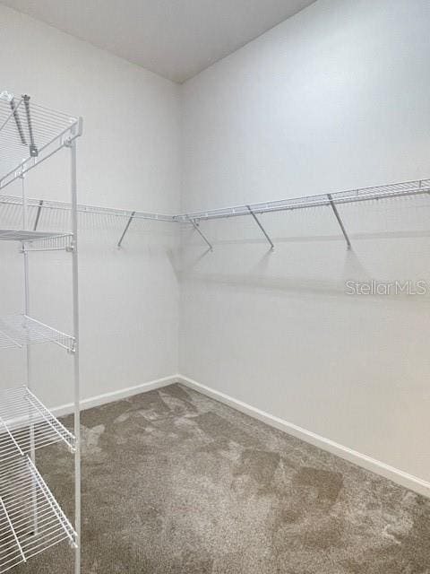 Building Photo - 1904 Groesser Pl