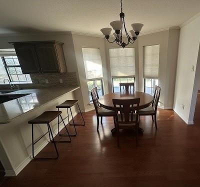 Building Photo - 1406 Conejos Ct
