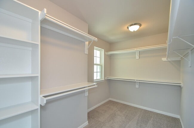 Building Photo - 3210 Harmony Creek Ln