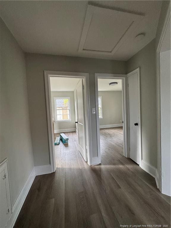 Building Photo - 226 Fountainhead Ln