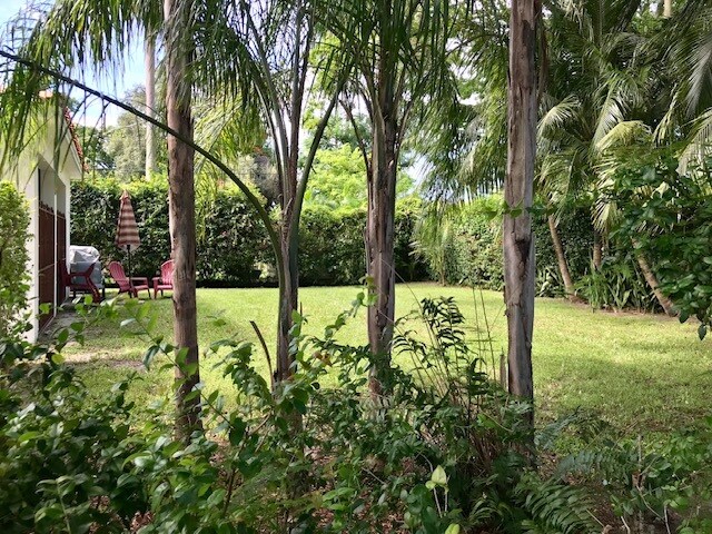 yard view - 3515 Monegro St